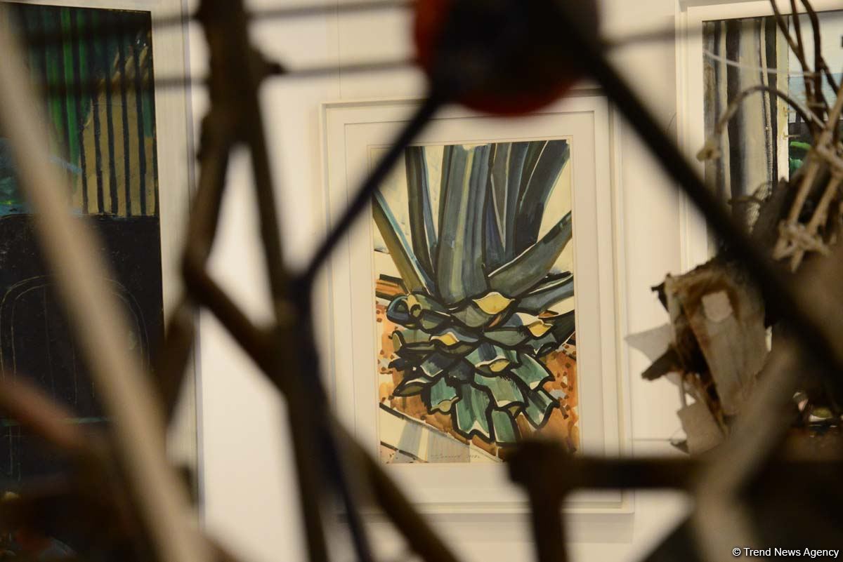 Увлекательное путешествие по Музею современного искусства в Баку (ФОТОРЕПОРТАЖ)
