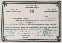 Антикризисный план: как спасать гостиничный бизнес – отельер международного класса Анар Агаев (ФОТО)