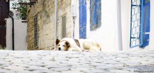 Бибиэйбат станет новой туристической дестинацией Баку