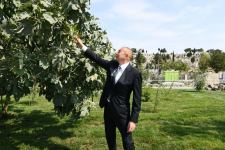 Президент Ильхам Алиев и первая леди Мехрибан Алиева ознакомились с работами по благоустройству, проведенными в поселке Балаханы (ФОТО)