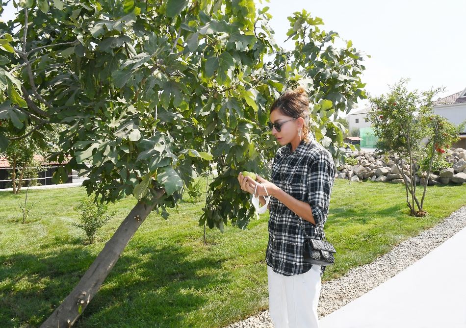 Президент Ильхам Алиев и первая леди Мехрибан Алиева ознакомились с работами по благоустройству, проведенными в поселке Балаханы (ФОТО)