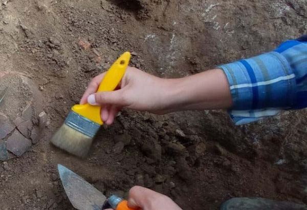 В Ярдымлы обнаружены памятники древней культуры (ФОТО)