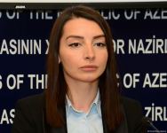 МИД и Генпрокуратура Азербайджана распространили совместное заявление (ФОТО)