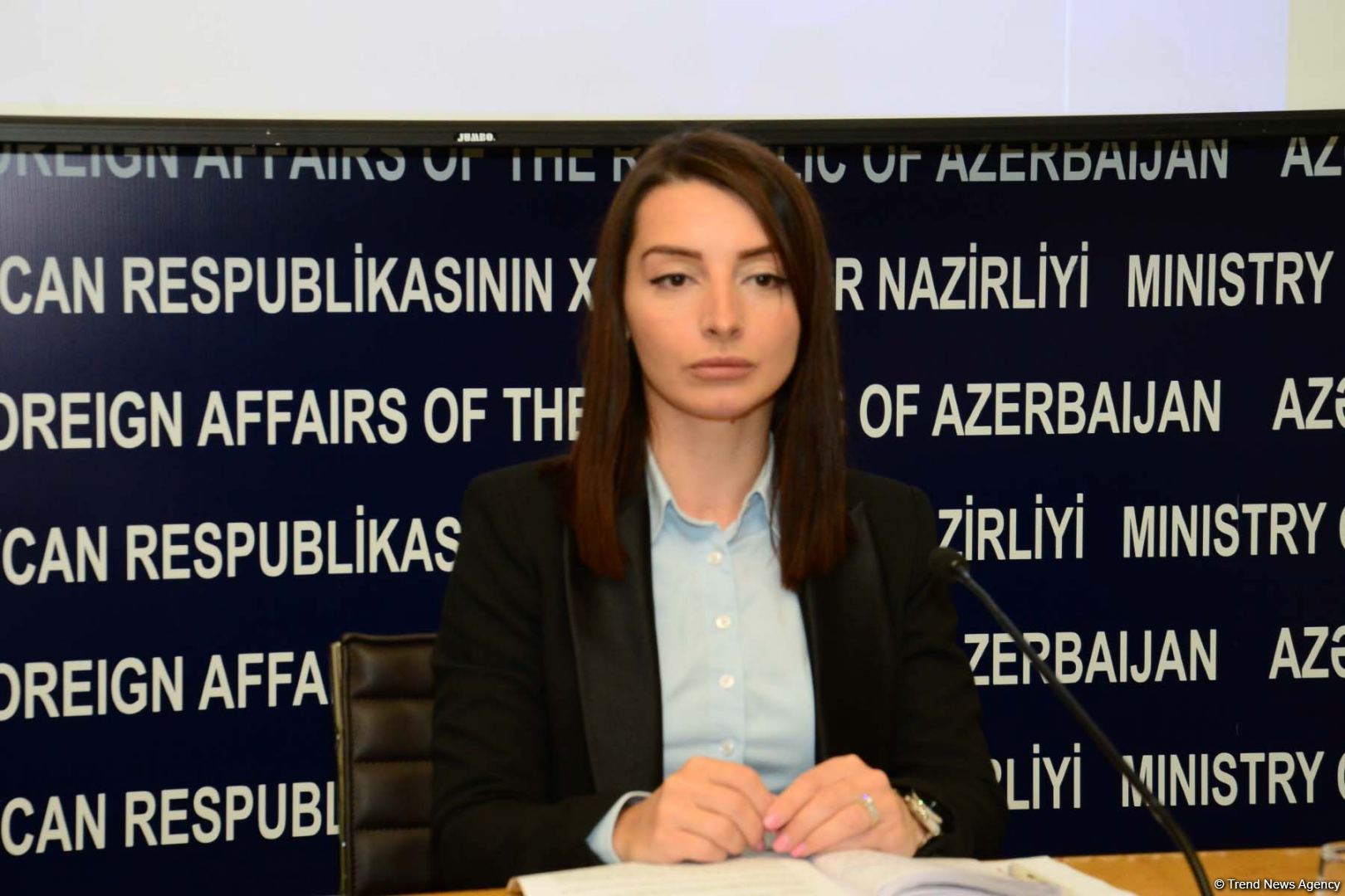 МИД и Генпрокуратура Азербайджана распространили совместное заявление (ФОТО)