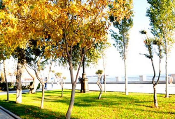 Минэкологии Азербайджана обнародовало прогноз погоды на октябрь