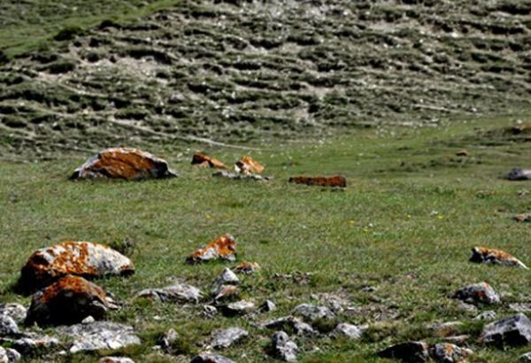 Армения использует древние курганы в Карабахе в военных целях – АН Азербайджана