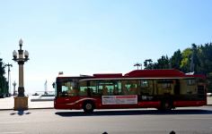 Баку украшен трехцветным флагом Азербайджана (ФОТОСЕССИЯ)