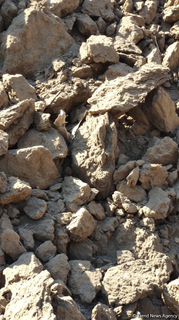 ВС Армении в очередной раз подвергли ракетному обстрелу село Газахлар Физулинского района (ФОТО)