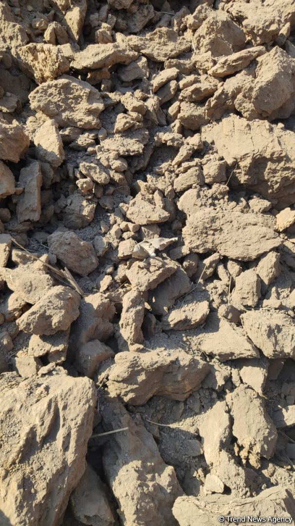 ВС Армении в очередной раз подвергли ракетному обстрелу село Газахлар Физулинского района (ФОТО)