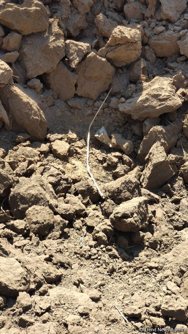 ВС Армении в очередной раз подвергли ракетному обстрелу село Газахлар Физулинского района (ФОТО)