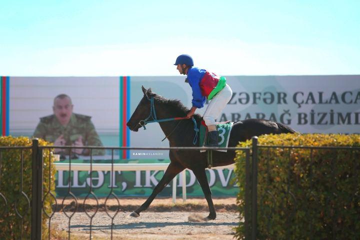 В Баку прошел парад на Карабахских скакунах в честь освободительной миссии армии Азербайджана (ВИДЕО, ФОТО)
