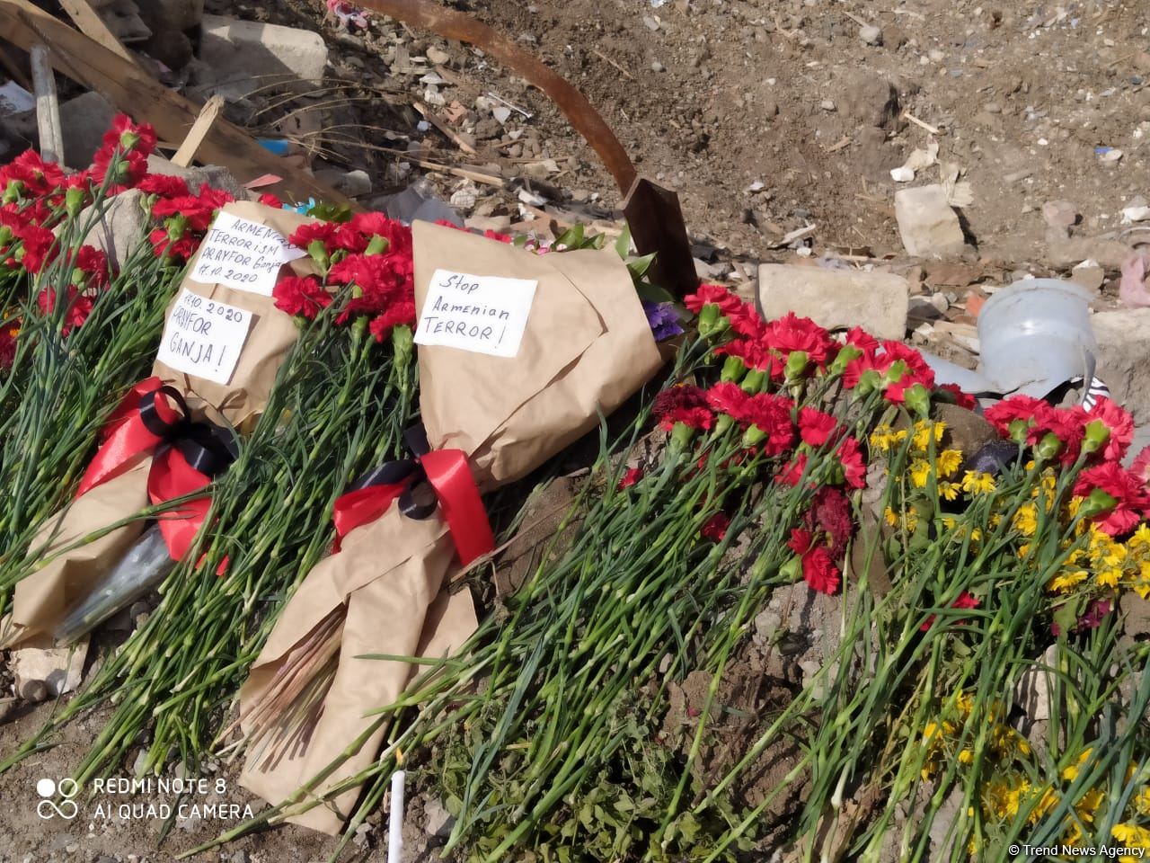 Посол Израиля побывал на месте ракетных ударов армянских ВС по Гяндже  (ФОТО)