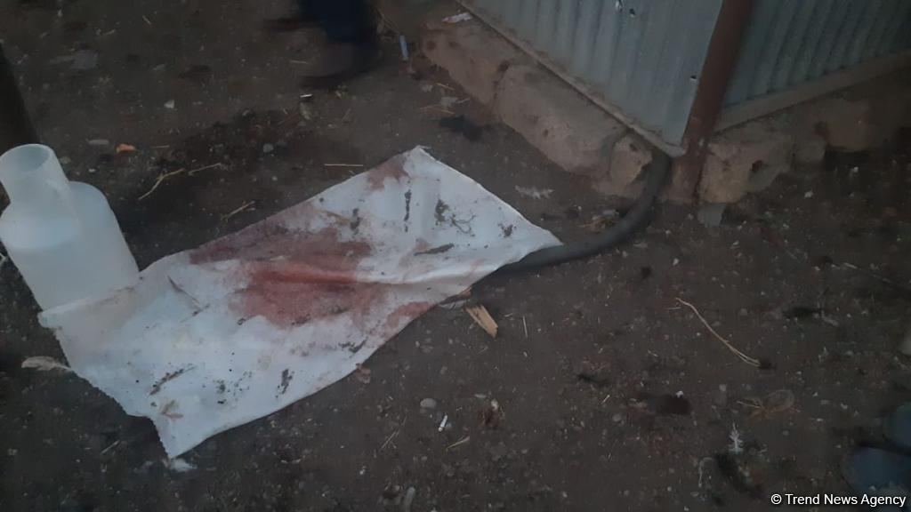 В результате артобстрела Барды армянскими вооруженными силами серьезно пострадали 5 частных домов - МЧС (ФОТО/ВИДЕО)