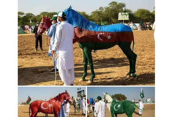 В Хушабе прошел Фестиваль коней, окрашенных в цвета флагов Азербайджана, Турции и Пакистана (ВИДЕО, ФОТО)