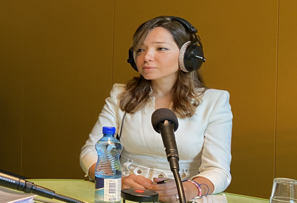 Золотые месторождения Азербайджана долгие годы незаконно эксплуатировались бизнесменом армянского происхождения Вартаном Сирмакесом - посол Азербайджана в Швейцарии