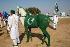 В Хушабе прошел Фестиваль коней, окрашенных в цвета флагов Азербайджана, Турции и Пакистана (ВИДЕО, ФОТО)