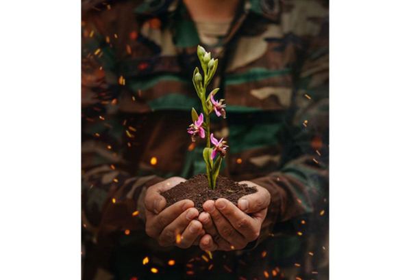 В азербайджанских семьях встречают своих сыновей-героев Карабахской войны (ВИДЕО)