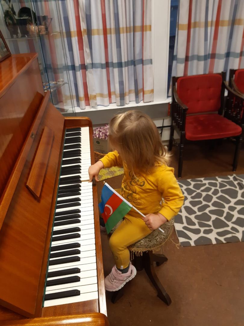 В Норвегии отметили победу Азербайджана над Арменией (ФОТО)