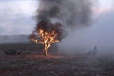 Российско-азербайджанское кино: 100 лет сотрудничества (ФОТО)