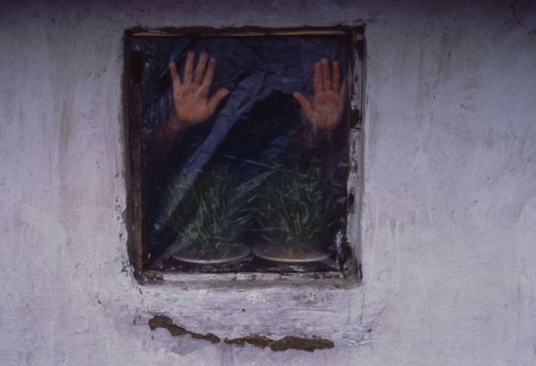 YARAT представляет выставочный проект "Сотвори себе остров" в Музее живописи Азербайджана