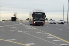 На ряде улиц и проспектов Баку создаются спецполосы для автобусов (ФОТО)