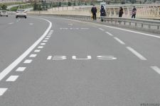 На ряде улиц и проспектов Баку создаются спецполосы для автобусов (ФОТО)
