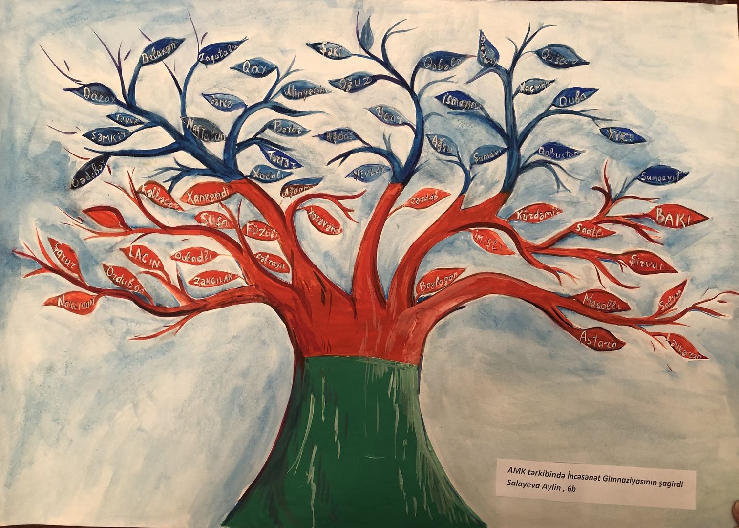 Как выглядит победа Азербайджана над Арменией? Показывают представители России, Грузии, Ирана, Украины (ВИДЕО, ФОТО)