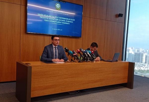 В Азербайджане до 1200 членам семей шехидов назначены  соцвыплаты - минтруда