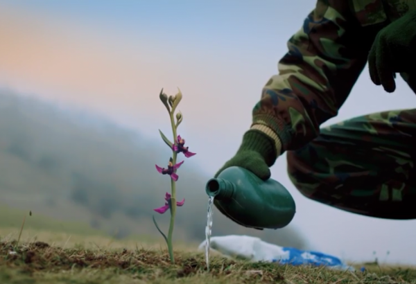 Легенда о Хары-бюльбюль - мужество и непобедимость азербайджанского народа (ВИДЕО)