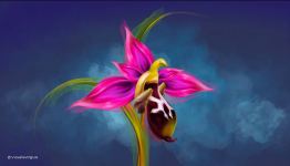 Победоносный Азербайджан в музыкальной аниме-иллюстрации Рилаи (ВИДЕО, ФОТО)