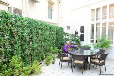 Дух аристократии в Баку! Путешествие в удивительный мир Максуда Ибрагимбекова – книги, коллекция оружия и картин…(ФОТО)