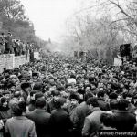 Дети, рожденные в период независимости Азербайджана – после событий 20 января 1990 года, принесли нам Победу – Мирнаиб Гасаноглу (ФОТО)