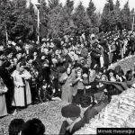 Дети, рожденные в период независимости Азербайджана – после событий 20 января 1990 года, принесли нам Победу – Мирнаиб Гасаноглу (ФОТО)