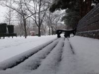 В Баку выпал первый снег (ФОТО)