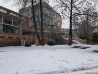 В Баку выпал первый снег (ФОТО)