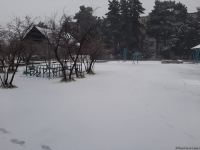 В Баку выпал первый снег (ФОТО)