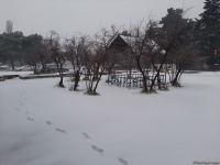 В Баку выпал первый снег (ФОТО)