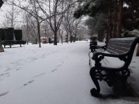 В Баку выпал первый снег (ФОТО)