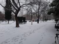 В Баку выпал первый снег (ФОТО)