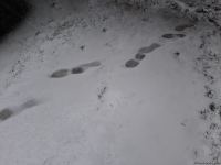 В Баку выпал первый снег (ФОТО)