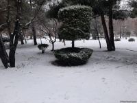 В Баку выпал первый снег (ФОТО)