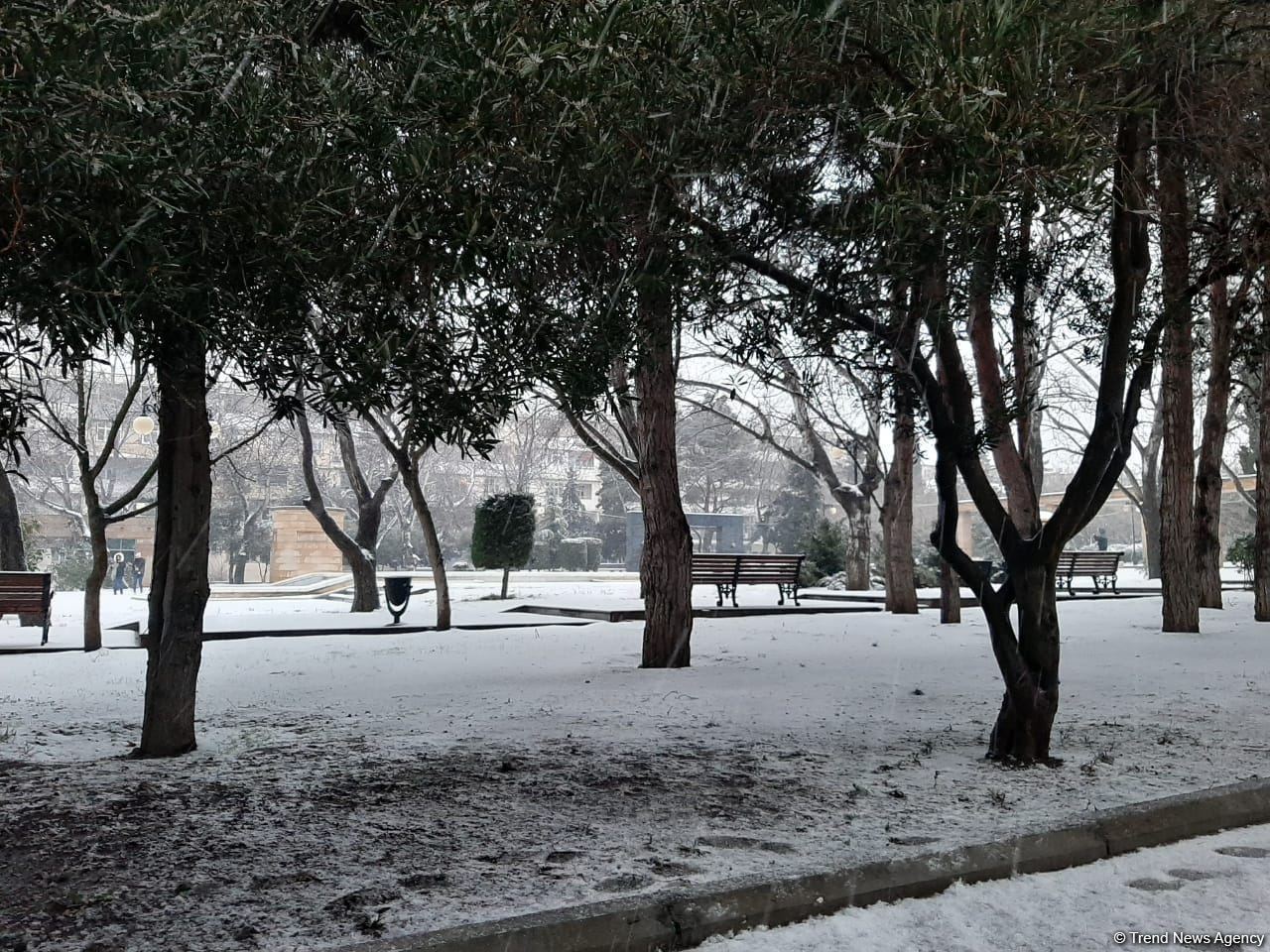 В Баку выпал первый снег (ФОТО)