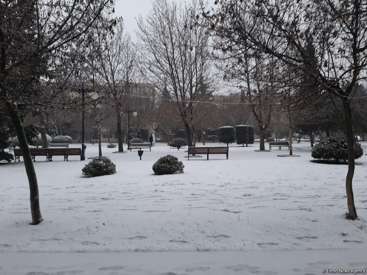 В Баку выпал первый снег (ФОТО)