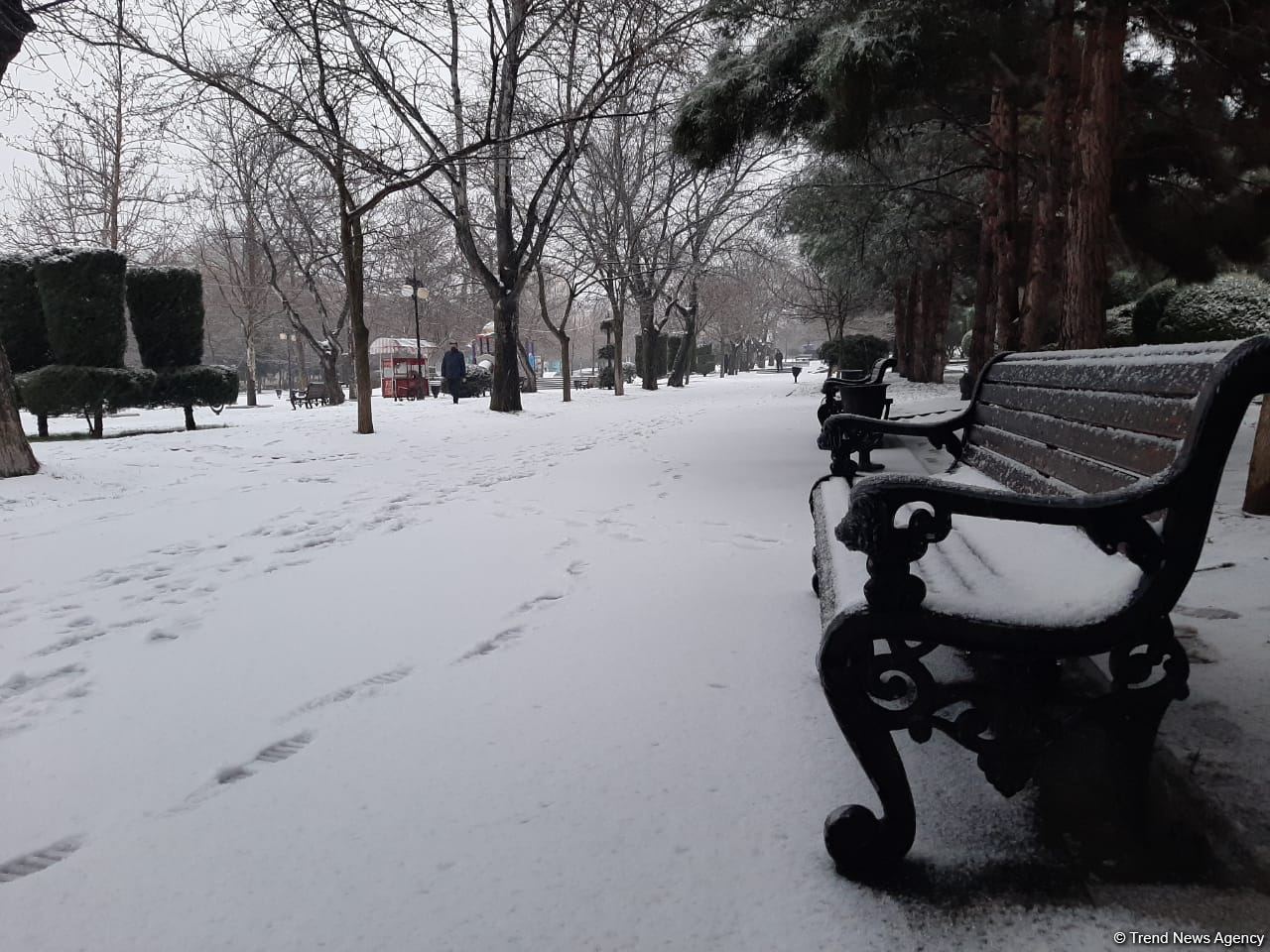 В Баку выпал первый снег (ФОТО)