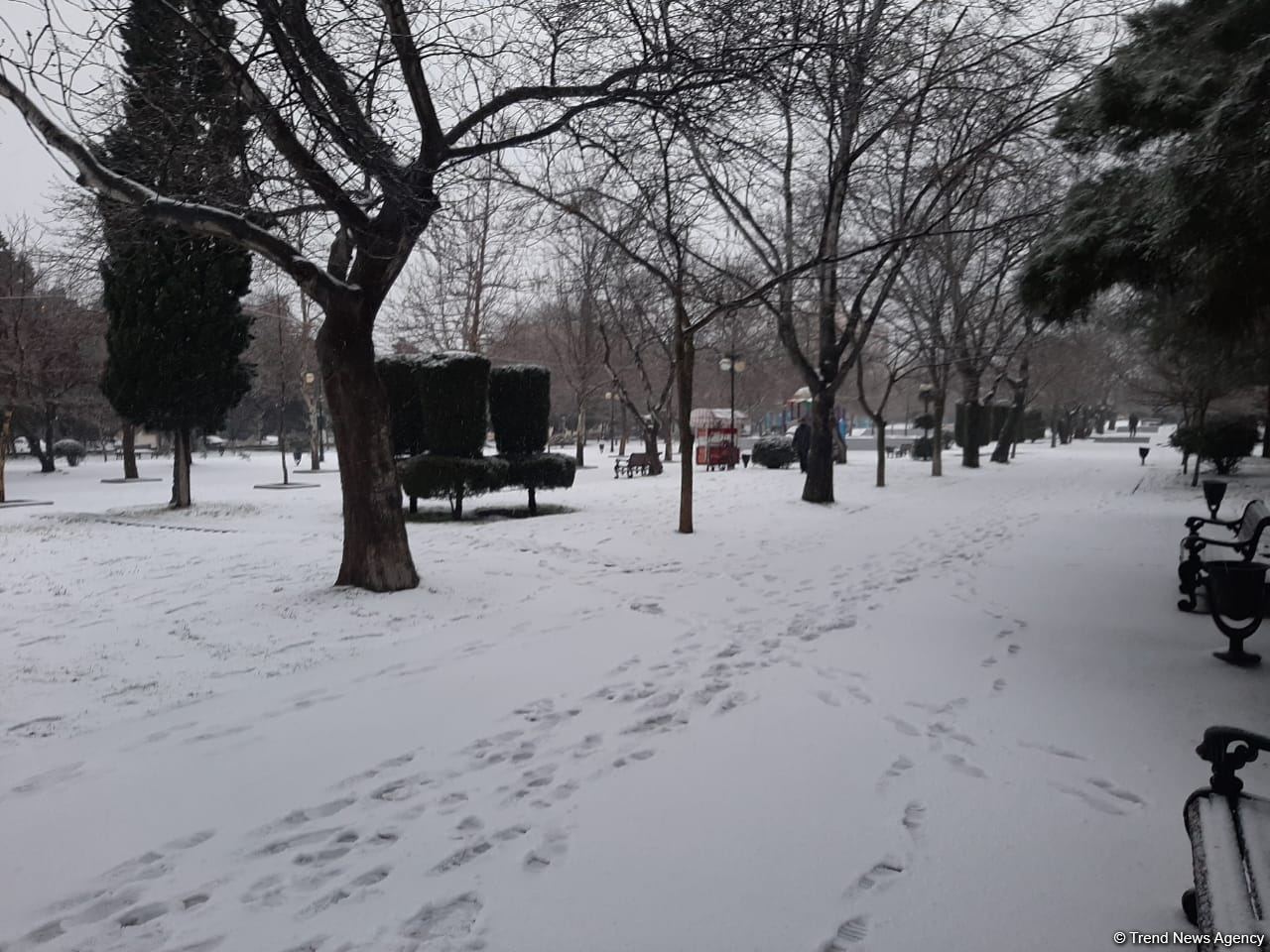 В Баку выпал первый снег (ФОТО)