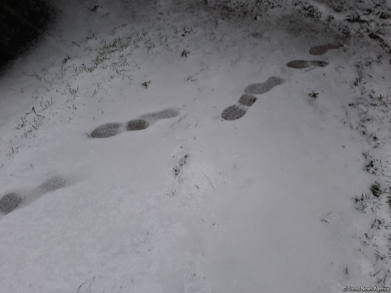 В Баку выпал первый снег (ФОТО)