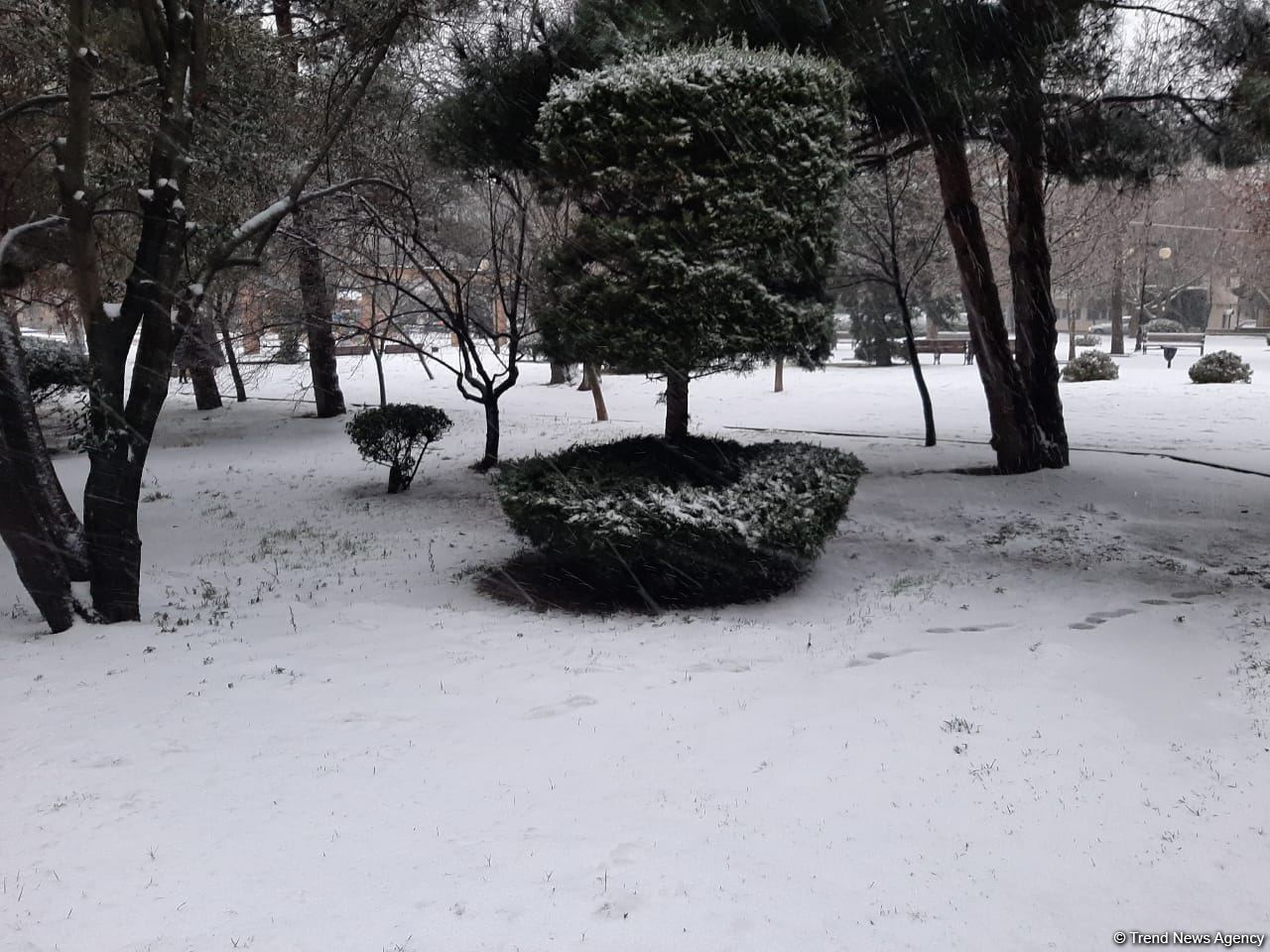 В Баку выпал первый снег (ФОТО)