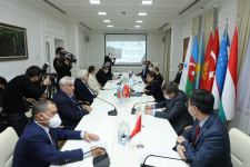 "Горгуднаме" известного турецкого поэта презентована в Баку (ФОТО)