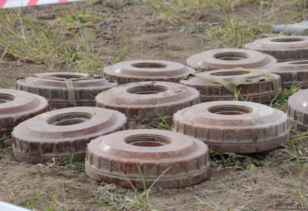 Отказываясь предоставить карты минных полей, Армения препятствует достижению устойчивого мира в регионе – азербайджанский депутат