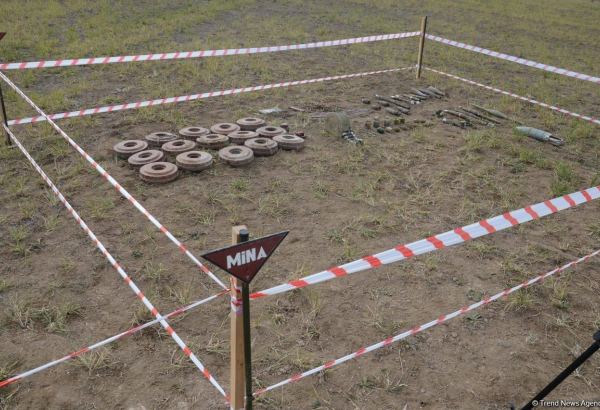 Омбудсмен Азербайджана выступила с заявлением о минных полях на освобожденных землях